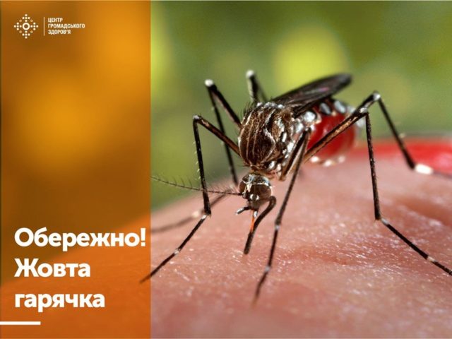 гар