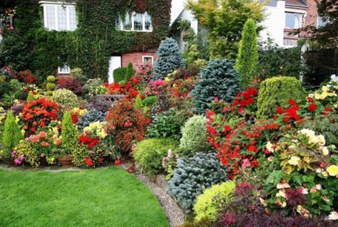 PLACEHOLDER_image1